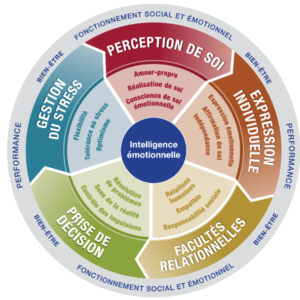 Diagnostic émotionnel EQ-i v2.0